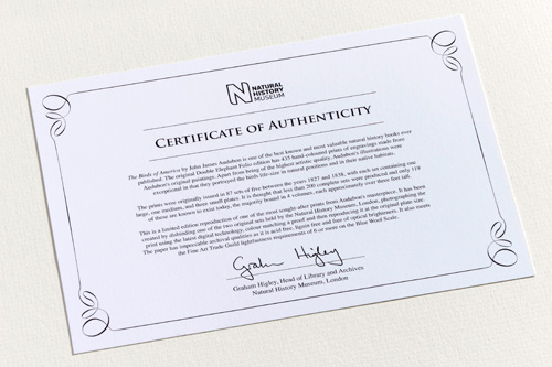 Certificates of authenticity